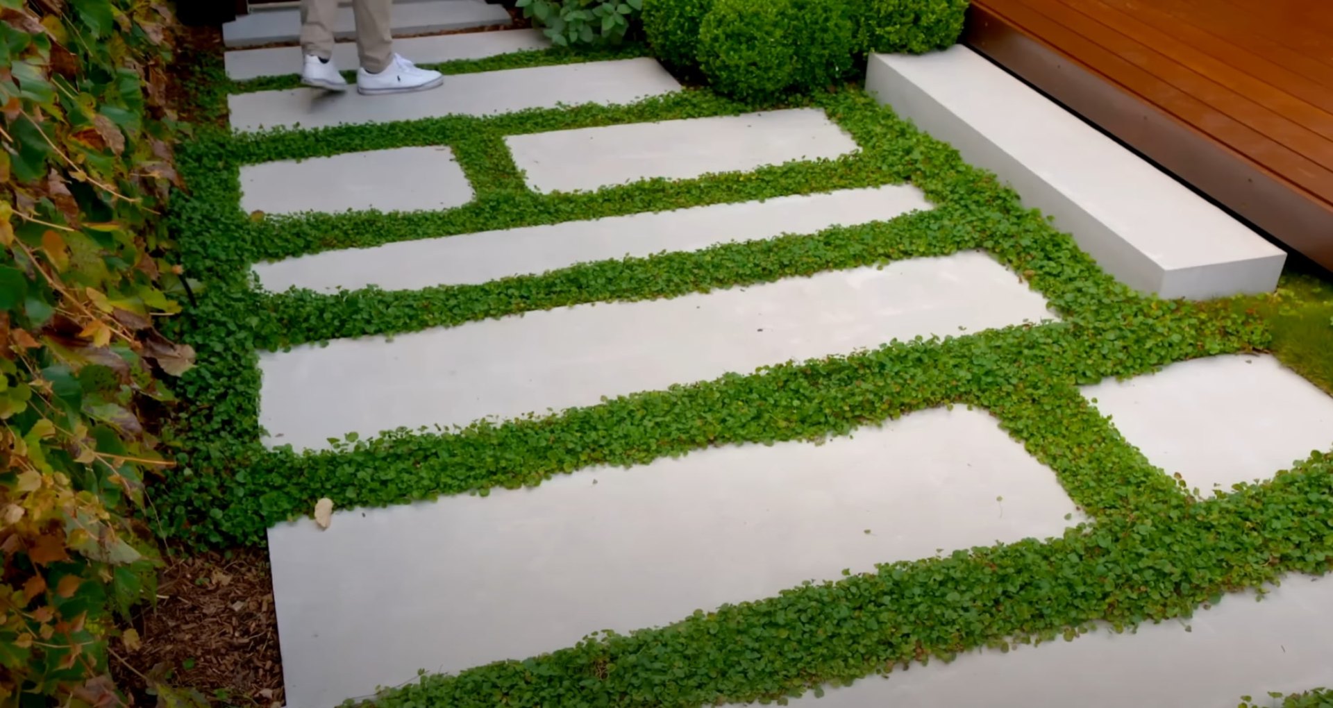 Contemporary concrete walkway with ground cover plantings creating clean lines and modern hardscape design