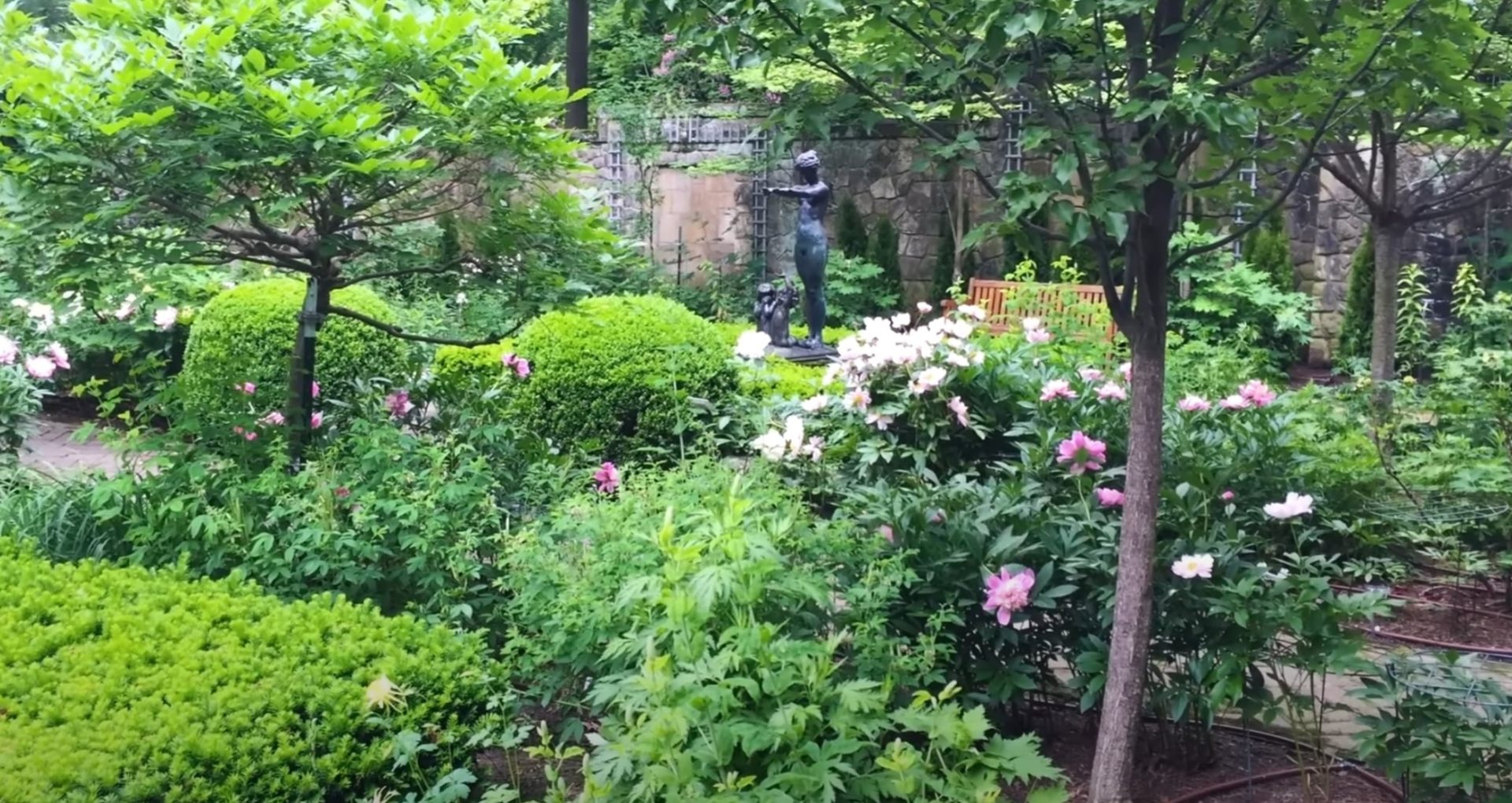 Beautiful garden landscape design with flowering plants and stone features