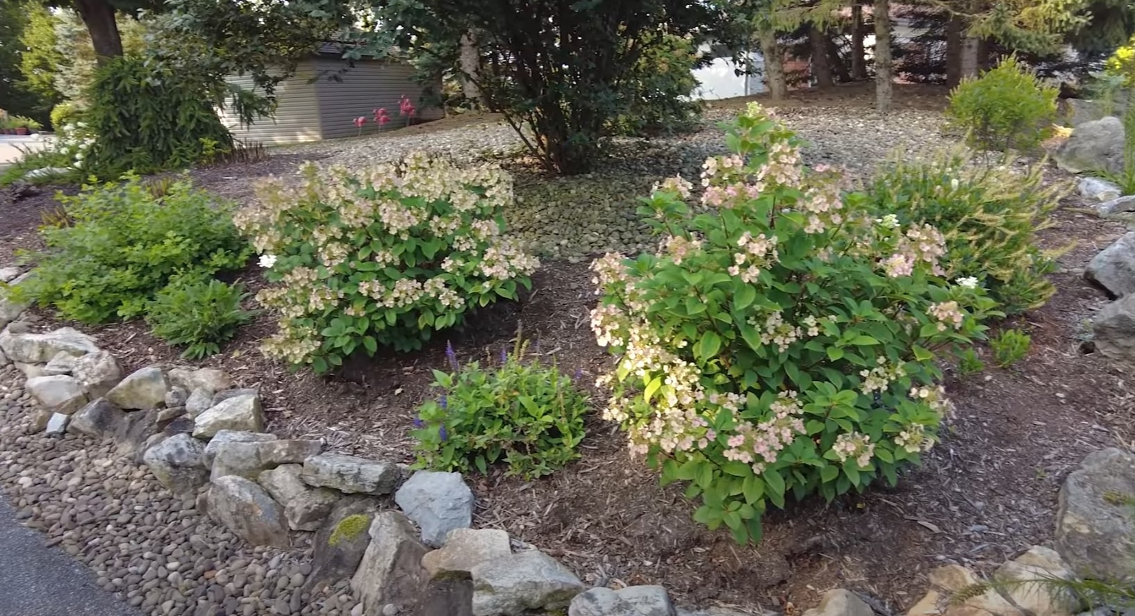 Professional landscape design featuring flowering hydrangeas, natural stone borders, and well-maintained garden beds with rich mulch and diverse plantings