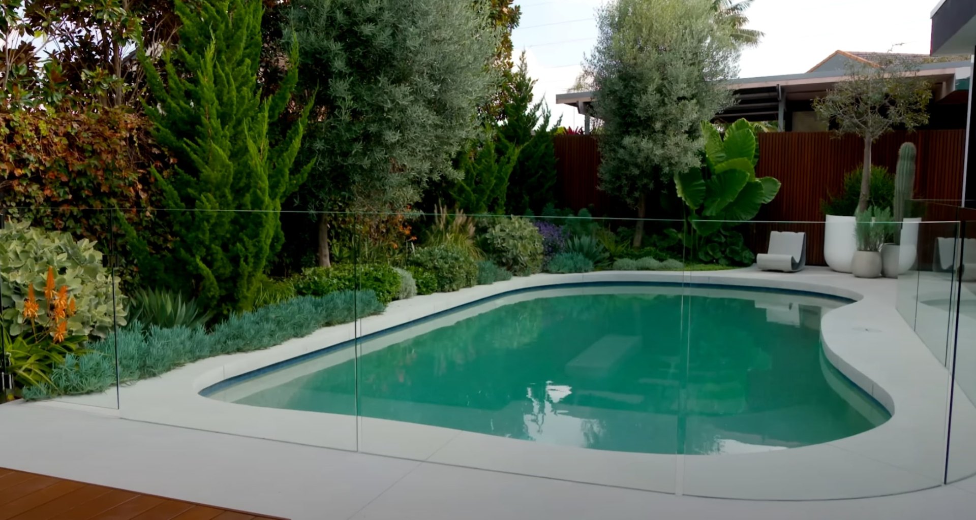 Modern backyard with glass-fenced swimming pool surrounded by lush tropical landscaping and privacy screening